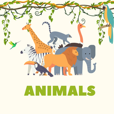 Theme - Animals
