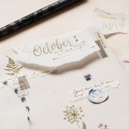 MU Lifestyle My Icon Clear Stamps - 2017 Month Set (6 Styles)