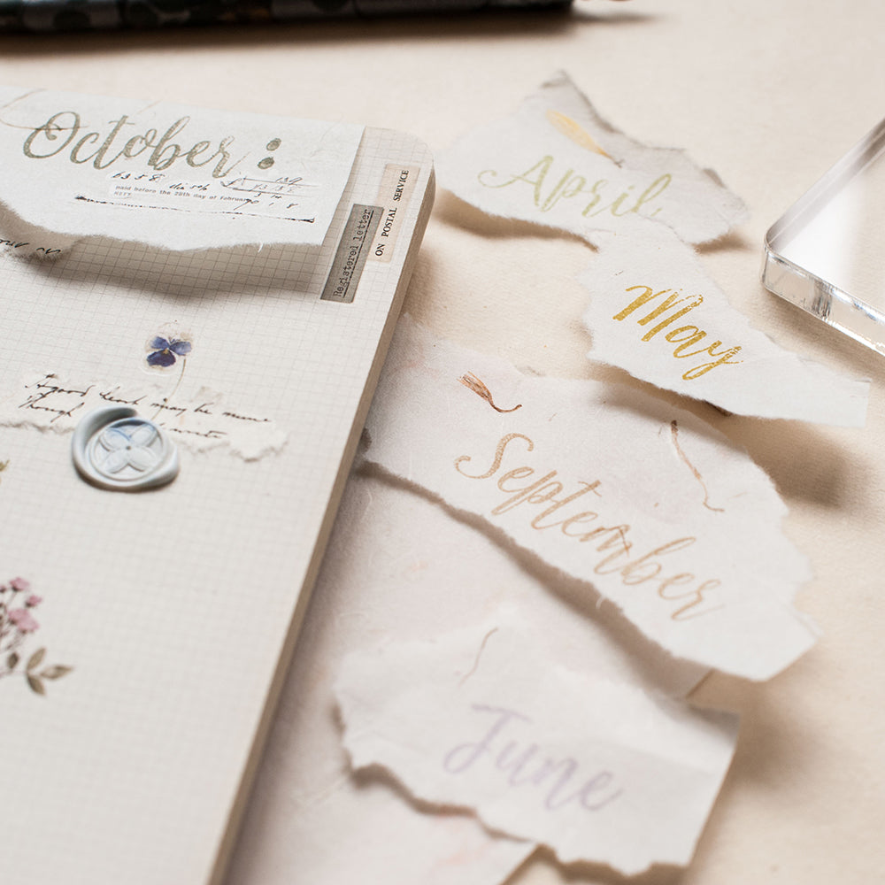 MU Lifestyle My Icon Clear Stamps - 2017 Month Set (6 Styles)