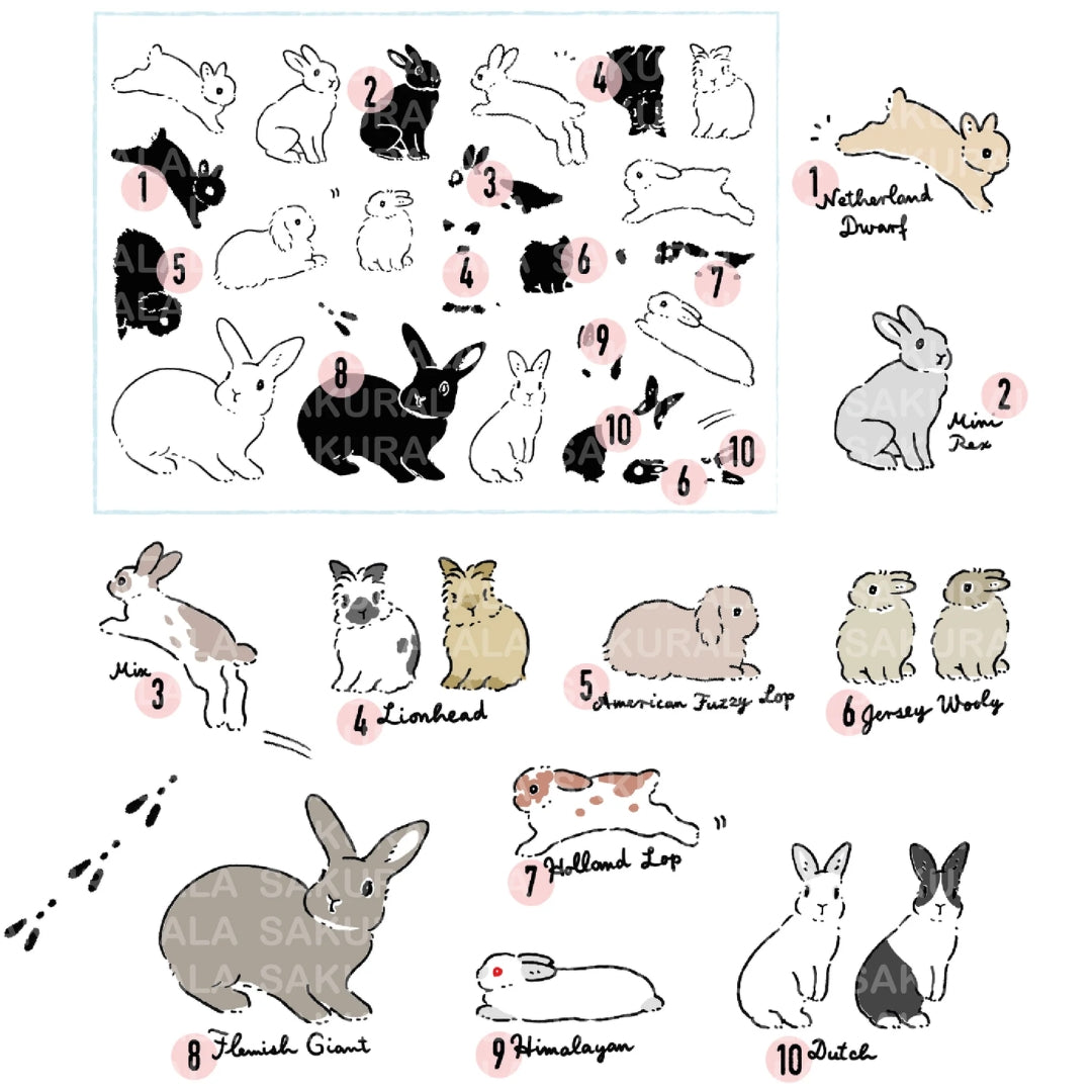 Sakuralala x Moriyama x Schinako Clear Stamps - 001 Fluffy Rabbit
