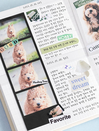 Iconic Magazine Collage Sticker Pack