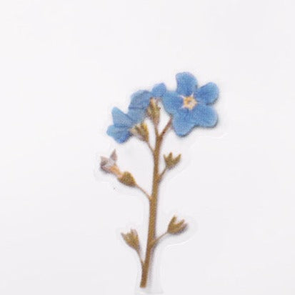 Appree Pressed Flower Sticker - Forget Me Not
