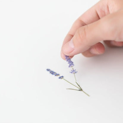 Appree Pressed Flower Sticker -  Lavender