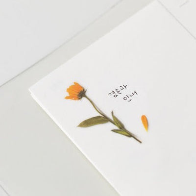 Appree Pressed Flower Sticker -  Calendula