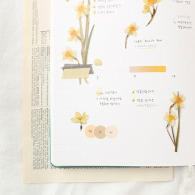 Appree Pressed Flower Sticker -  Narcissus