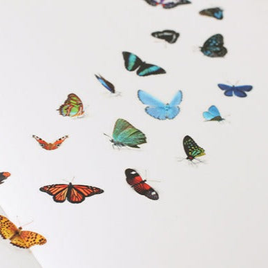 Appree Nature Sticker - Butterfly