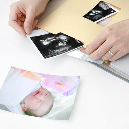 Iconic Pieces of Moment 3-Ring Binder Refill